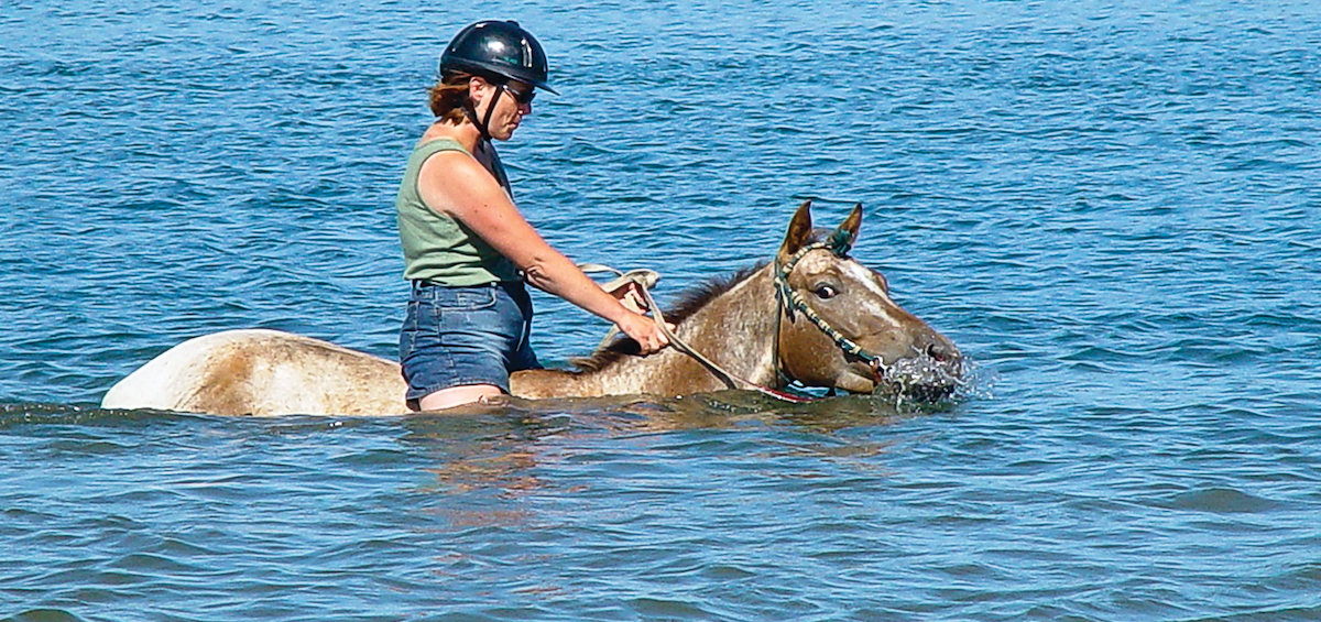 Can Horses Swim with Someone on Their Back